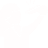 Coach Icon