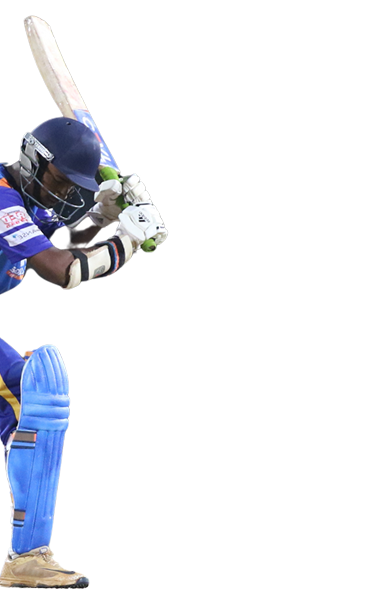 Player holding a bat
